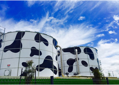 1728705032223333.jpg cd0c415f4a2dc91841f787f811cc09e8_t01389a5eade3bc35b0.jpg