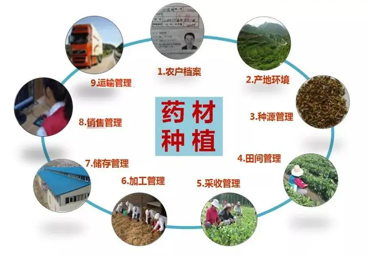 1728963117613157.jpg 1728963117613157.jpg