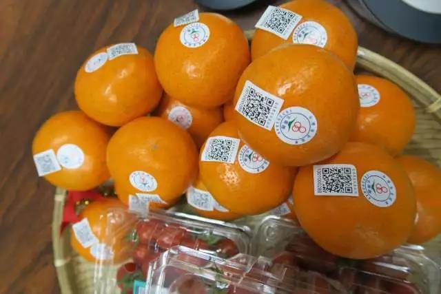 1718336659346568.jpeg bb56fbc9c8fc47d2acfca12c8a642683.jpeg