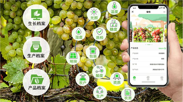 天游TY8检测中心