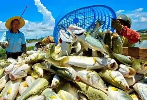 1741251042118209.jpg 76e48ab11cefe91c3cd088ac55b01ee5_u=3153102163,2520820003&fm=253&fmt=auto&app=138&f=JPEG_w=500&h=371_副本.jpg