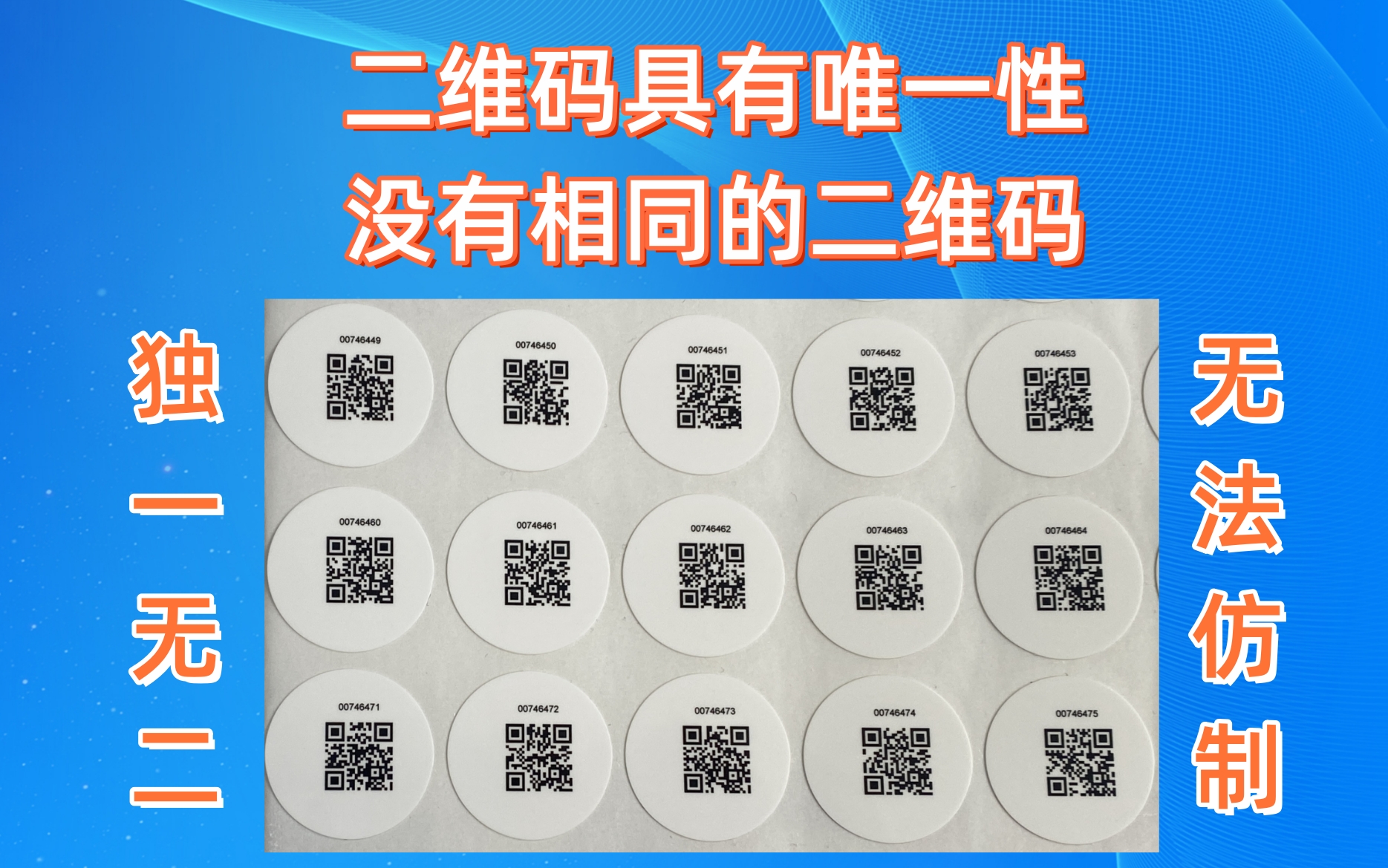 1739519177377891.jpg a5b9e440-45bb-4462-a246-02b9828786c1_副本.jpg