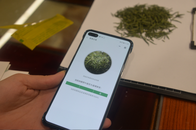 1731459376246090.png 81138c55f6dd54f2b38444fcc2f94f51_t014b998e02f43d78e2.png