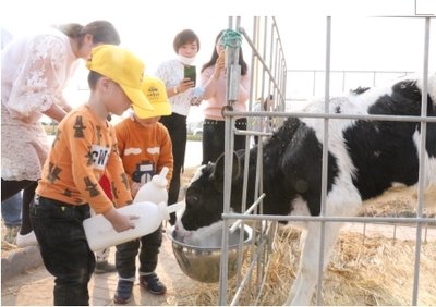 1728705001999638.jpg d17d650223174ad3bcadd30d1667b44c_t01dc238d48cc5d43bc.jpg