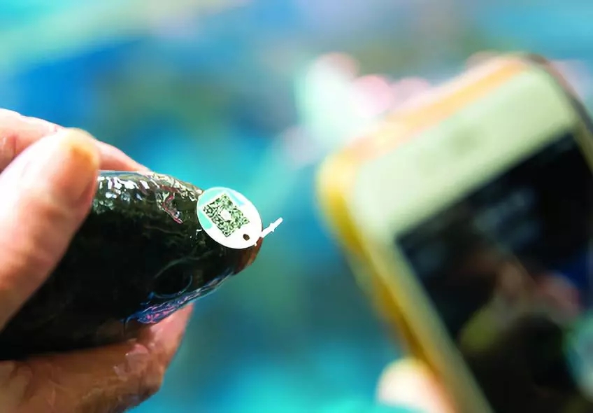 1734661105665404.jpg 49fc6fbd39dcfcf2076faaca2d7e7540_540152d209114bf498576088029dcc40.jpg