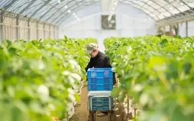 1740552528845903.jpg 2f6044559dd6ea846dddbcbe397ab04d_t01fbe948ee16dc80e8.jpg