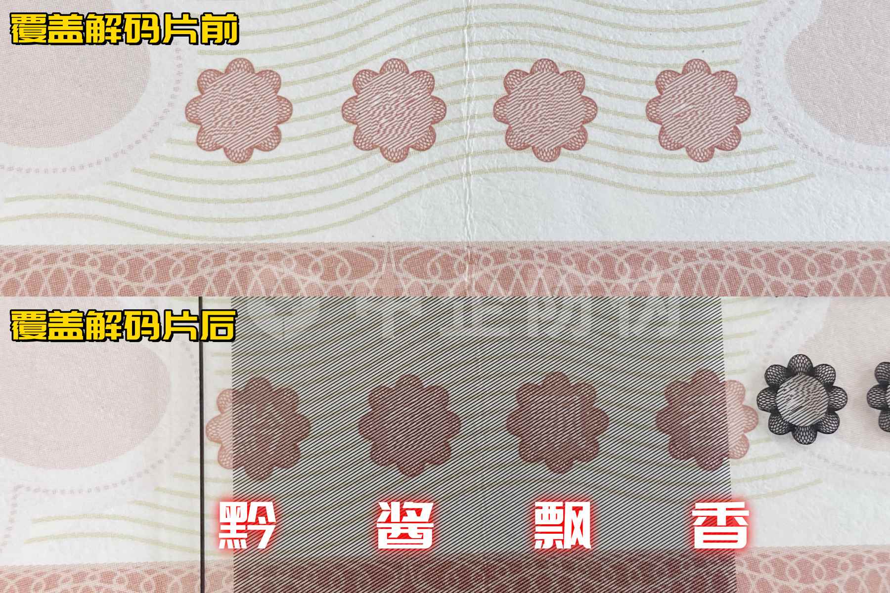 1731907923419114.jpg 7090338c-f43e-4f25-ae68-ab8d798c9c8f_副本.jpg