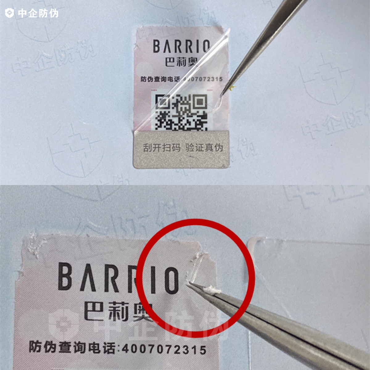 1734592420743274.jpg 未命名年你给.jpg