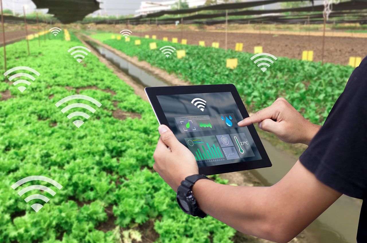 1736231765573865.jpeg d95ec705955b4164841846275a288f77.jpeg