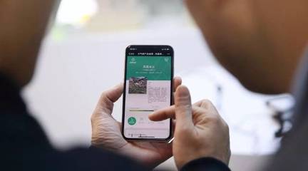 1731459347567371.jpg 96c88200c3dc7b42de13468aba17200c_t01e83d98745c520b60.jpg