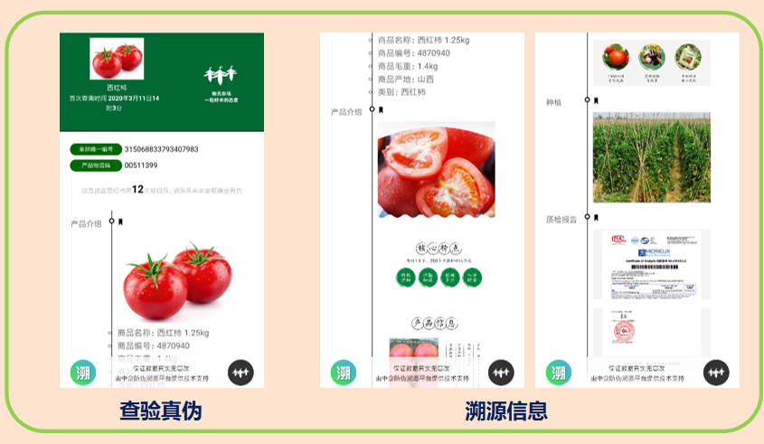 1729489756227227.png 1729489756227227.png