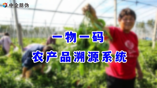 K8一触即发人生赢家