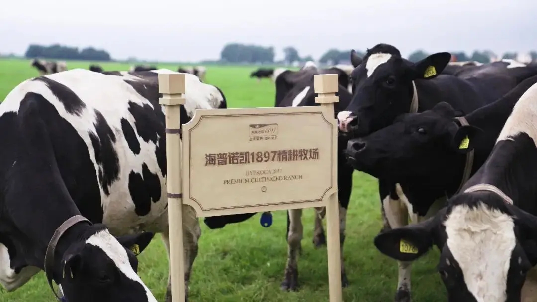 1726729719594364.jpeg a0fcd03faef18ab11cb38cd5a7c6e668_29d20cc91d6d438aab4e0b988e964cf9.jpeg