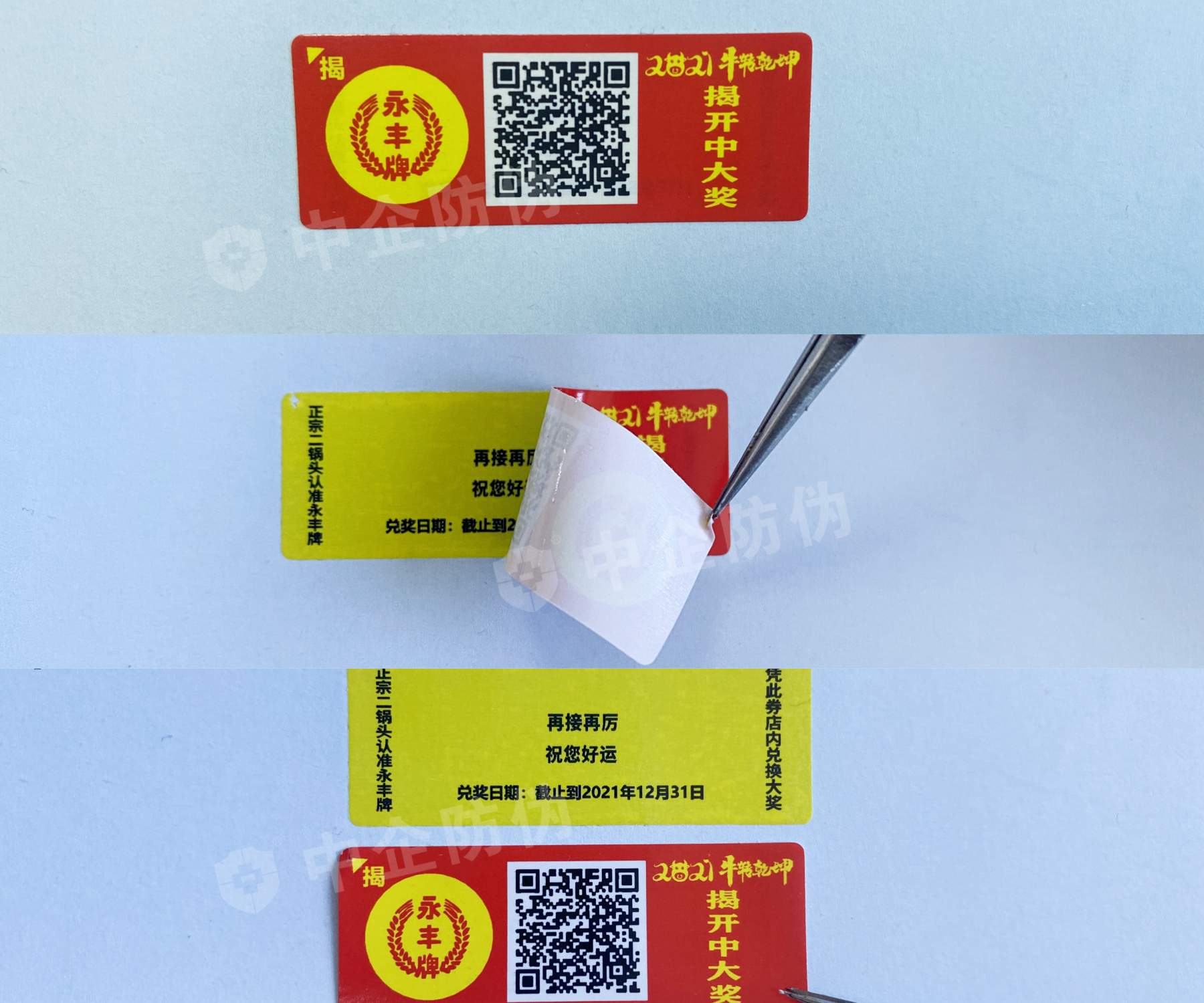 1728528455279285.jpg 封面.jpg