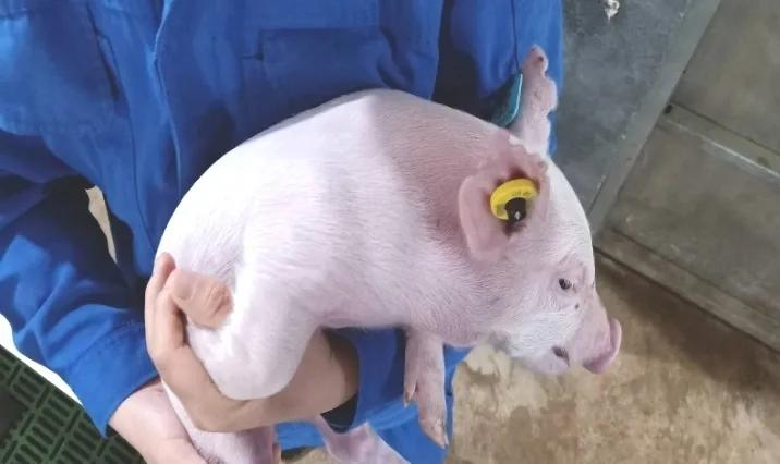 1713765816611574.jpg v2-dedd3e7049c0035fba3d6c378de2bf75_1440w.jpg