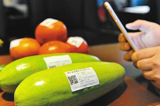 1718267893509148.jpeg fa80b3ad5fb2423a95b85f5f4188e32e.jpeg