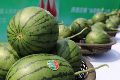 1773994896612022.png image.png