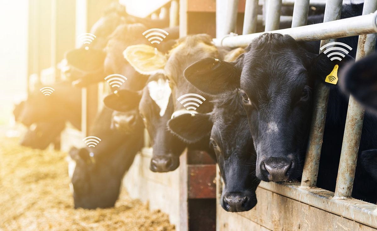 1728711375908799.jpg 1fbce0f4980e8e4c87e90e67bac70c66_u=3878436109,183380972&fm=193.jpg