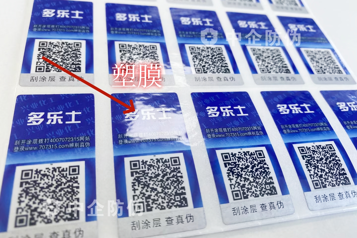 1726293540825706.jpg 噢啦.jpg