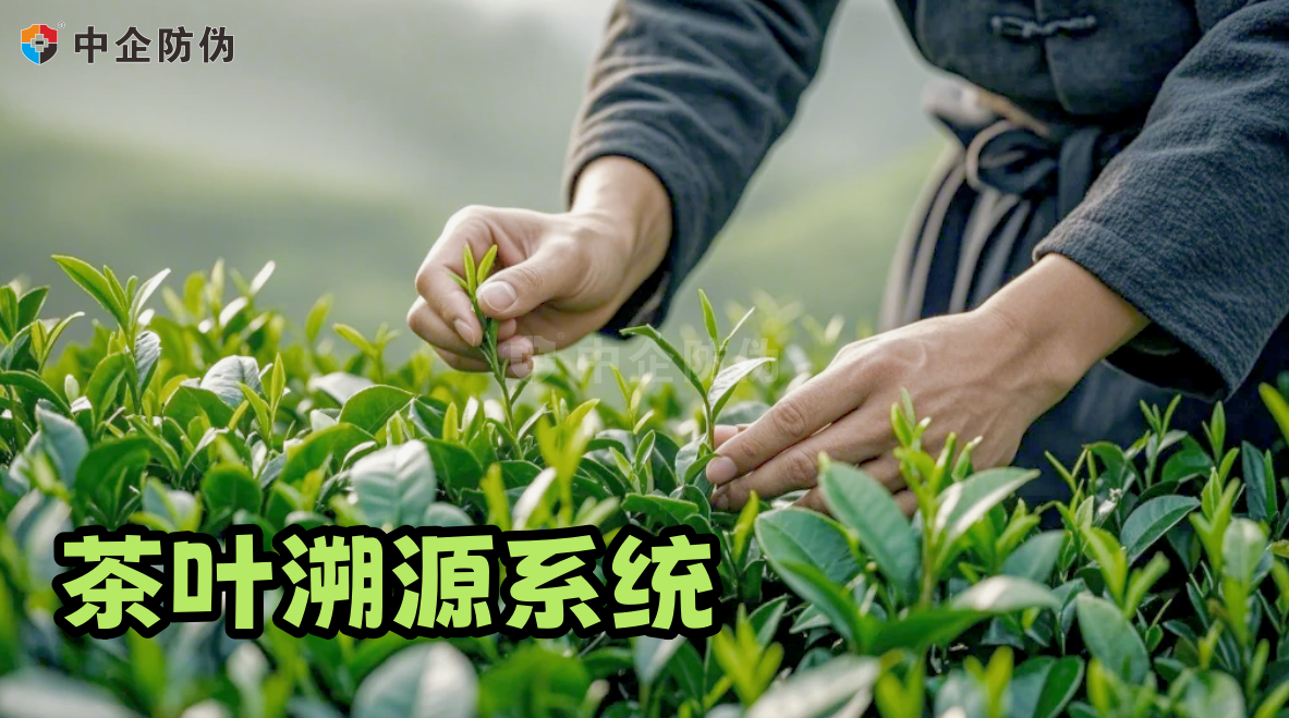 1734060214971628.png 茶叶溯源系统 10.16.png