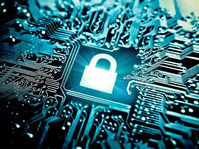 1736317667992704.jpg 1736317667992704.jpg