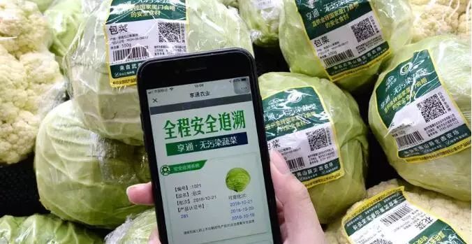 K8一触即发人生赢家