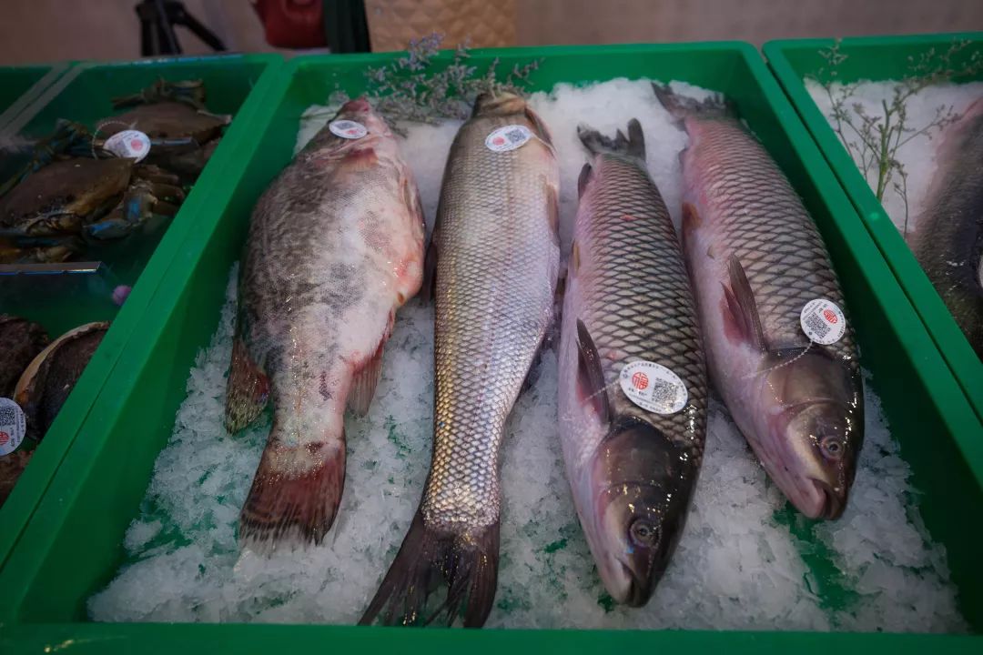 1734661202602430.jpeg ec497ab859289ff7fcf821957072ec04_f5b01017195b41e4929d66e7fc6ab102.jpeg