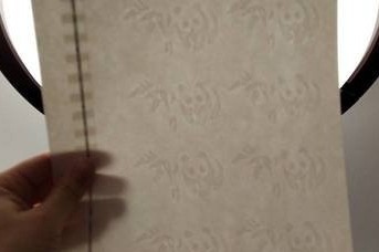 1736751708376197.jpg t014945e95ce053c36c.jpg