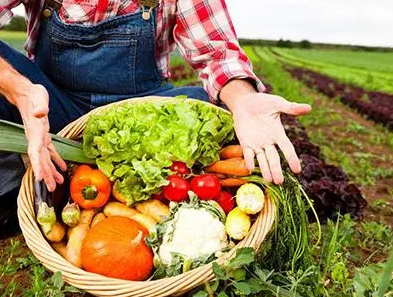 1722837357779298.png 企业微信截图_17228373392948.png