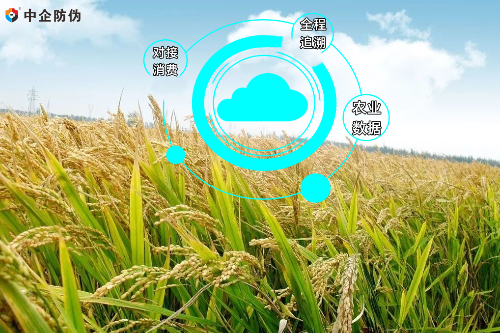 智慧农业 11.13.png