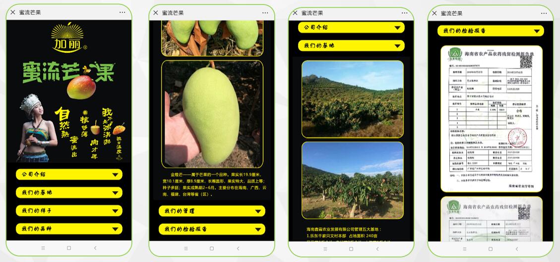加丽蜜流芒果溯源页面