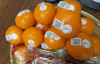 1741760890804605.jpg 893365b457dadd18109b037626b6b8e6_t0199e0ab1b52197dfc.jpg