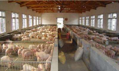 1748243434967531.png 8b7bbed4ccf4a67fc0977c4c95821857_t0163a3c4e25b982627.png