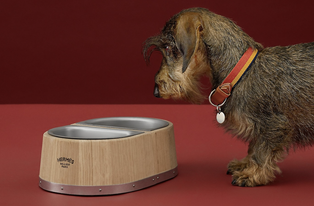 1730704716510034.png 61264f88547221cd3b8ec2386172e6af_remote_165700366127307.png